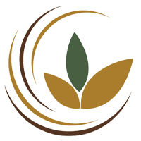 شرکت خشکبار کاشانی